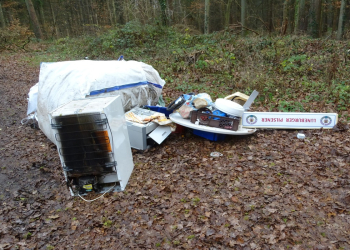 Illegale Abfallentsorgung nahe Pinnsee