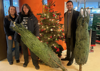 Die Kreissparkasse spendet den Tafeln im Kreis Herzogtum Lauenburg 100 Weihnachtsbäume