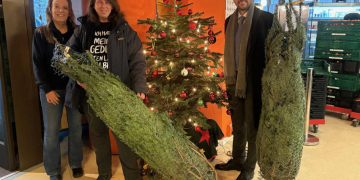 Die Kreissparkasse spendet den Tafeln im Kreis Herzogtum Lauenburg 100 Weihnachtsbäume