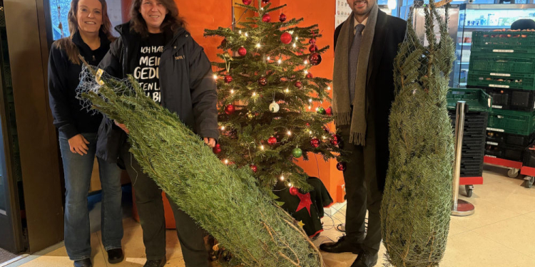 Die Kreissparkasse spendet den Tafeln im Kreis Herzogtum Lauenburg 100 Weihnachtsbäume