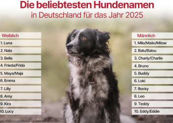 Milo verteidigt seine Spitzenposition