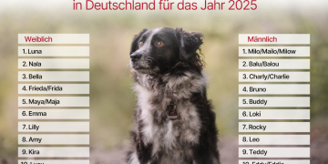 Milo verteidigt seine Spitzenposition