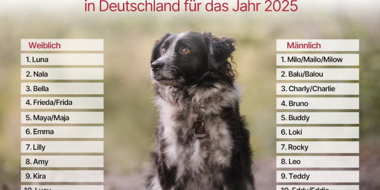 Milo verteidigt seine Spitzenposition