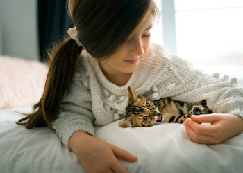 Auch kleine Haustierbisse bergen hohe Infektionsgefahr