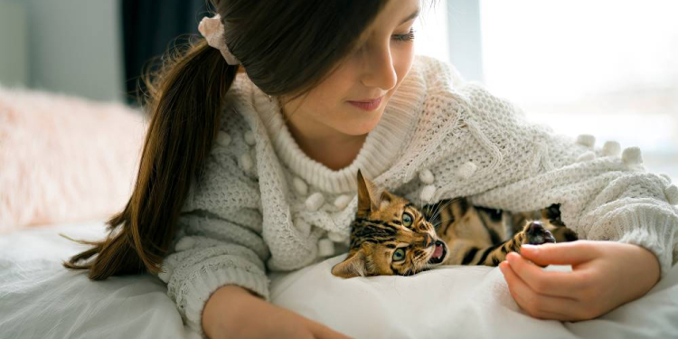 Auch kleine Haustierbisse bergen hohe Infektionsgefahr