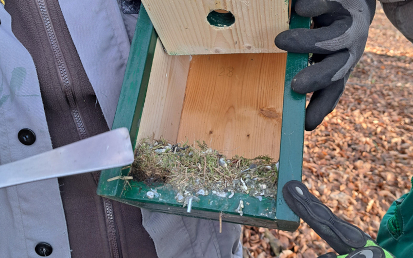 Kastenkontrolle am Augustinum – Kontrolle und Reinigung von Vogelkästen