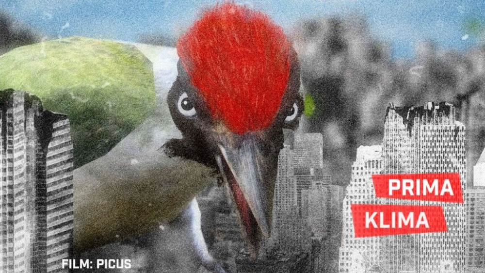 Filmclub Kurzfilmabend: ‚SHORTS ATTACK: Prima Klima‘