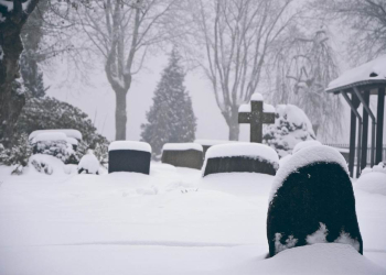 Geesthachter Waldfriedhof gesperrt