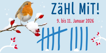 Wie viele Vögel sind schon da?