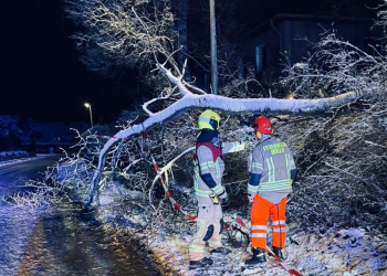 41 Alarmierungen für die Möllner Wehr im Januar