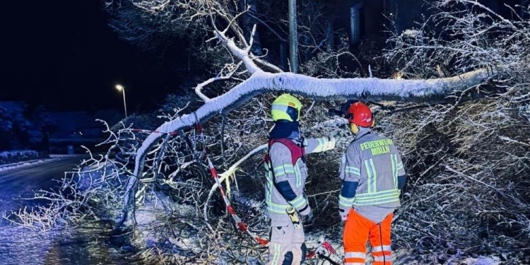 41 Alarmierungen für die Möllner Wehr im Januar