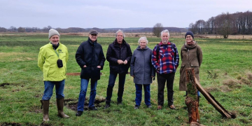 Rind statt Schaf – Neue Haltungsform hält Einzug auf Naturschutzflächen