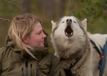 Dokumentation: ‚FOLKTALES – Mit Schlittenhunden ins Leben‘