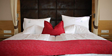 Foto: Bild von Reinhard Thrainer auf Pixabay, hfr