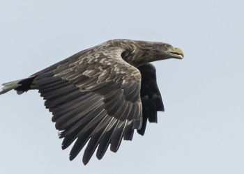 Café in der Priesterkate öffnet im März an zwei Sonntagen