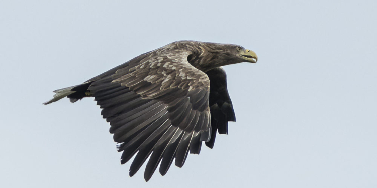 Café in der Priesterkate öffnet im März an zwei Sonntagen