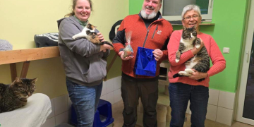 Weihnachtsspende für das Katzenschutzheim Büchen