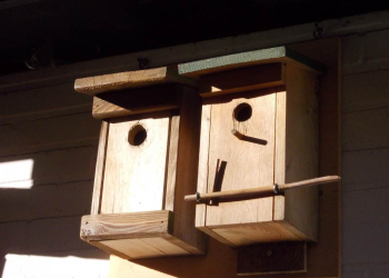 Nistkasten-Bau-Aktion im Cafe EneHus