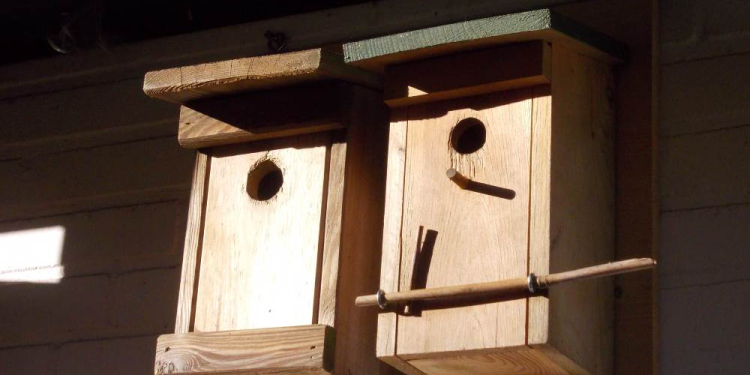 Nistkasten-Bau-Aktion im Cafe EneHus