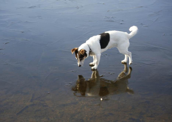 Op Platt: Ein Wintergedicht