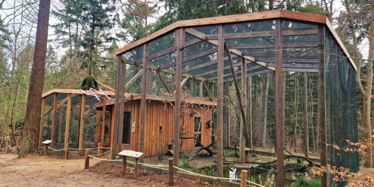 Einweihung der neu gestalteten Voliere – Naturerlebnis im Uhlenkolk erweitert