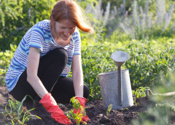 Kleine Wunden, schlimme Folgen: Gesunder Start in die Gartensaison im Kreis Herzogtum Lauenburg