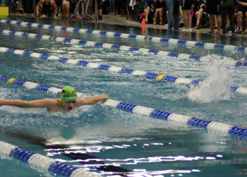 RSV-Schwimmen-Sparte: Letzter Test vor den Landesmeisterschaften