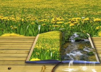 Vortrag über das Lesebuch Landschaft