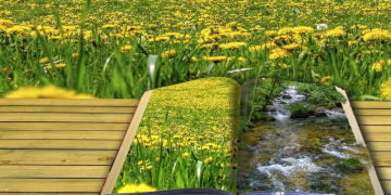 Vortrag über das Lesebuch Landschaft