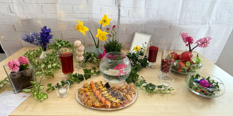 Buntes Miteinander beim Nouruz-Fest in Mölln