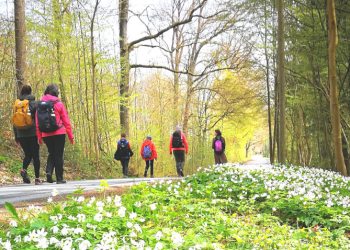 Pilgern im Klosterdreieck – Neue Begegnungen auf alten Wegen