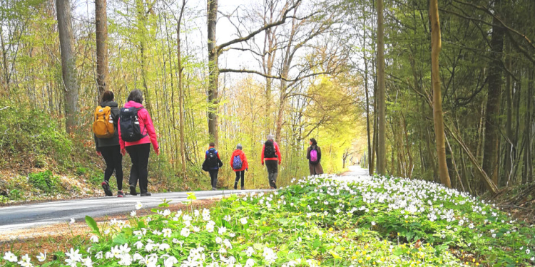 Pilgern im Klosterdreieck – Neue Begegnungen auf alten Wegen