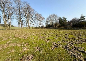 Massive Wildschweinschäden am Riemannsportplatz