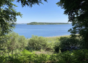 Ranger-Führung über den Seedorfer Werder am Schaalsee