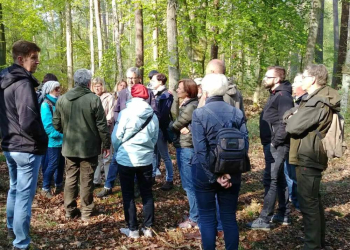 Naturkundliche Führung um den Kirchensee