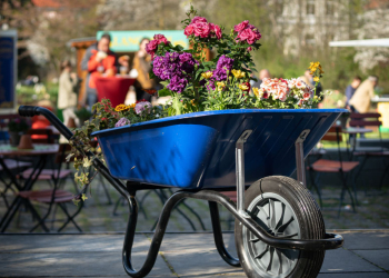 Blühender Saisonstart auf der Gartenromantik in Mölln