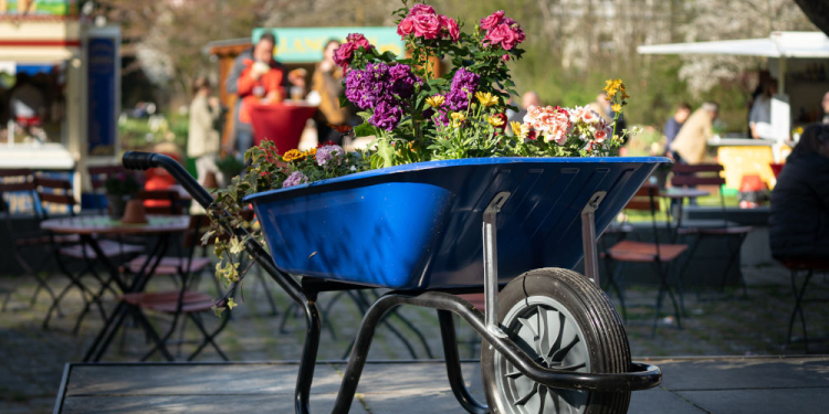 Blühender Saisonstart auf der Gartenromantik in Mölln