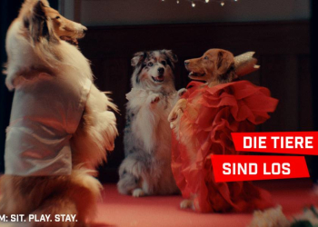 Filmclub Kurzfilmabend: ‚SHORTS ATTACK: Die Tiere sind los‘