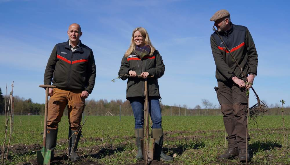 Mehr heimisches Saatgut für Schleswig-Holstein: Erste Samenplantage für gebietseigene Sträucher eröffnet