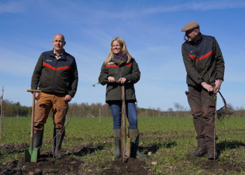 Mehr heimisches Saatgut für Schleswig-Holstein: Erste Samenplantage für gebietseigene Sträucher eröffnet