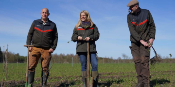 Mehr heimisches Saatgut für Schleswig-Holstein: Erste Samenplantage für gebietseigene Sträucher eröffnet