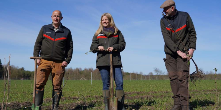 Mehr heimisches Saatgut für Schleswig-Holstein: Erste Samenplantage für gebietseigene Sträucher eröffnet