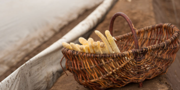 Die Spargelsaison 2026 ist eröffnet. Foto:  Nicole Franke