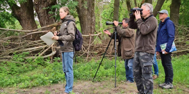 Stunde der Gartenvögel mit Vogelzählung 