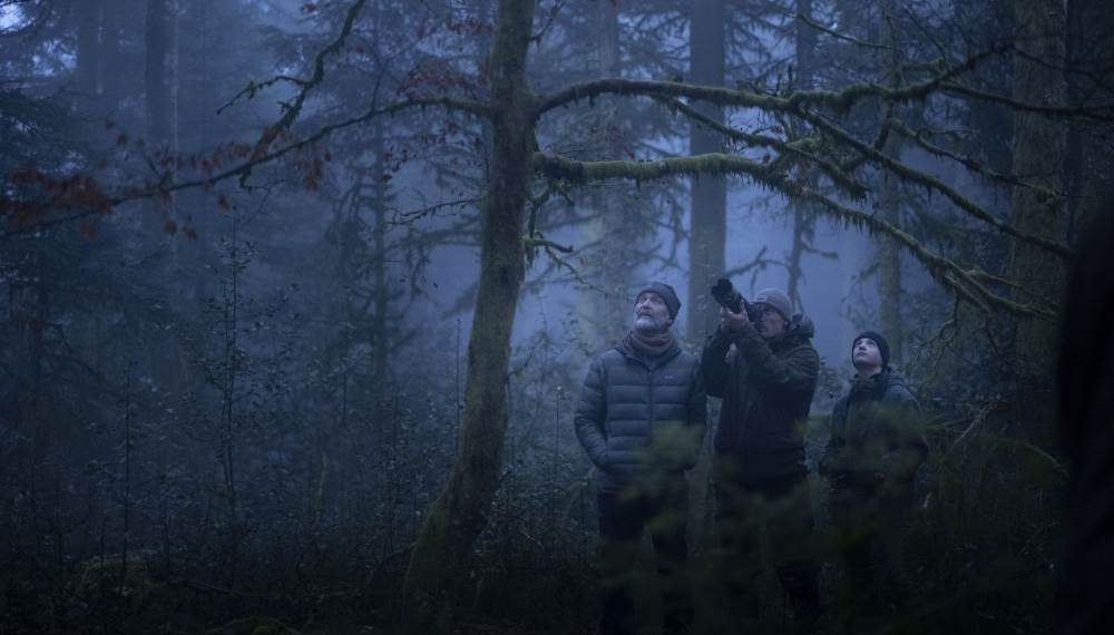 Filmclub Dokumentation: ‚Das Flüstern der Wälder‘