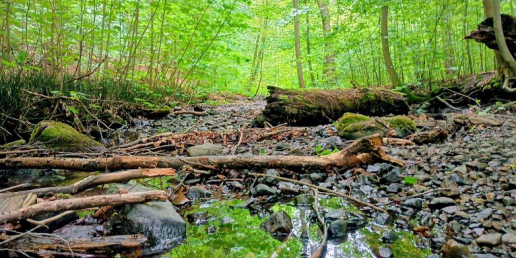 Geschichte trifft Natur – das Kupfermühlental