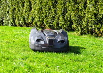 Zum Schutz des Igels: Ratzeburger Grüne fordern Nachtfahrverbot für Mähroboter