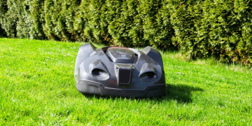 Zum Schutz des Igels: Ratzeburger Grüne fordern Nachtfahrverbot für Mähroboter