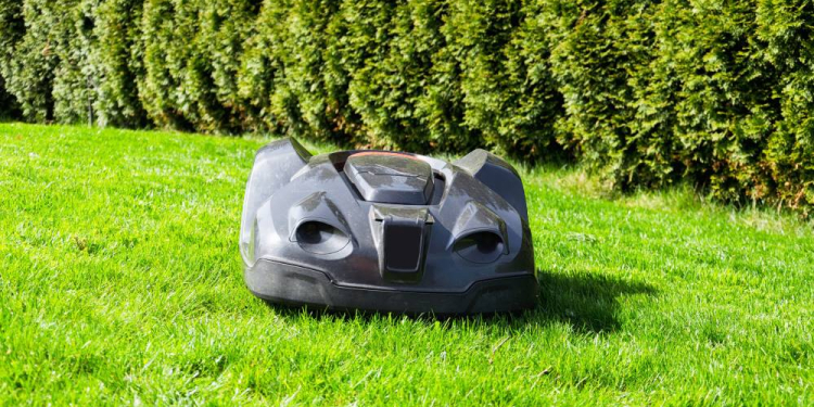 Zum Schutz des Igels: Ratzeburger Grüne fordern Nachtfahrverbot für Mähroboter