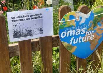 Omas for Future: Verzicht auf das Mähen im Mai